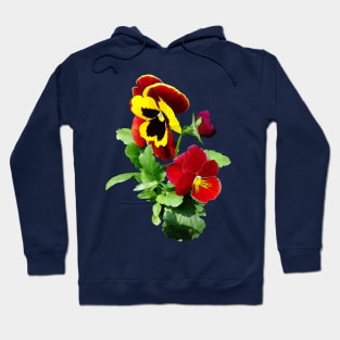 Pansies - Pansy Family Hoodie